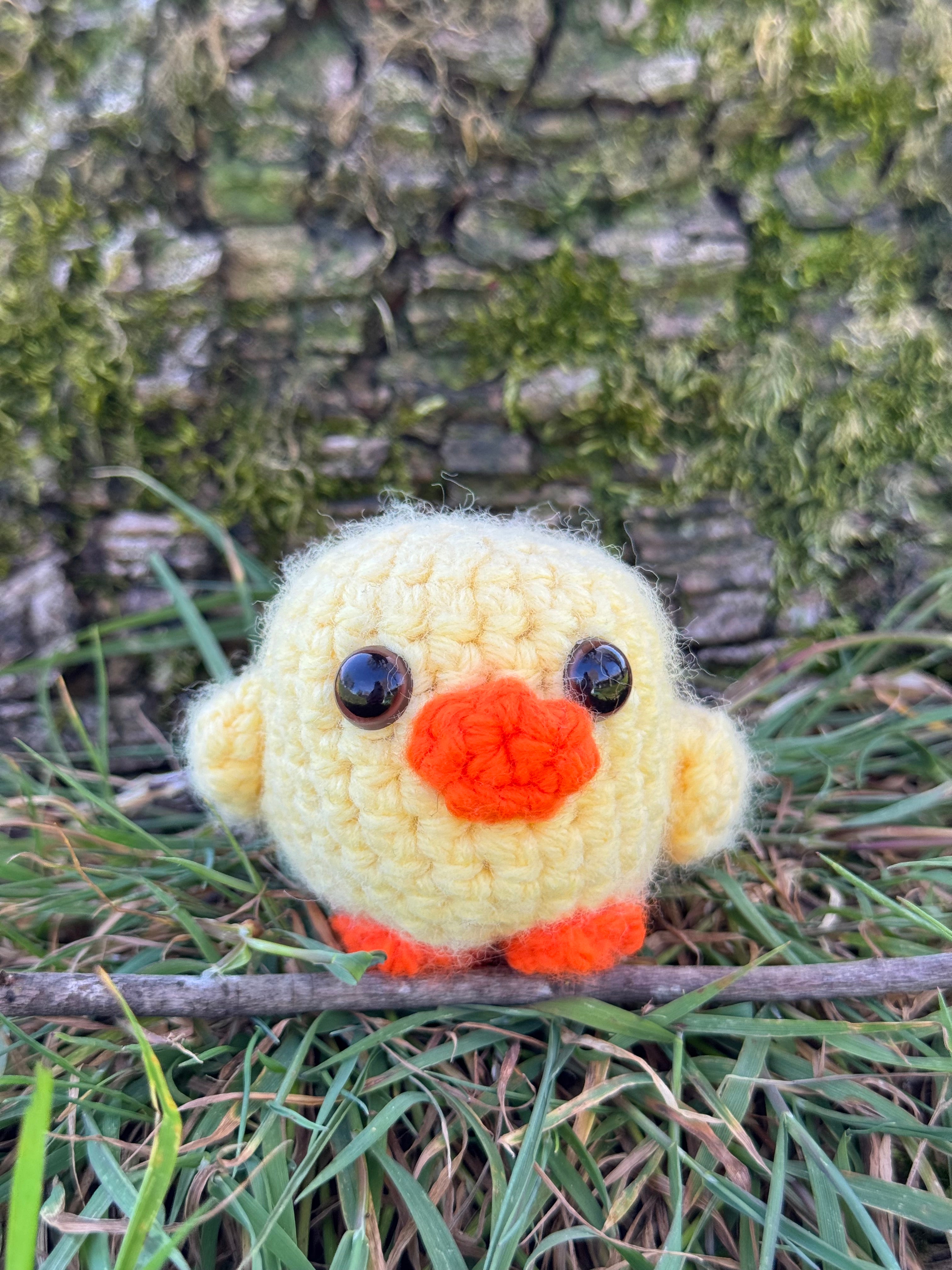 Mini Chick Friend