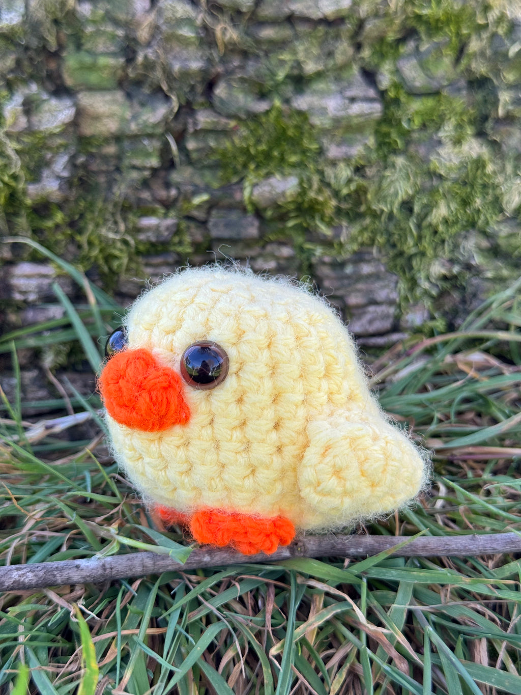 Mini Chick Friend