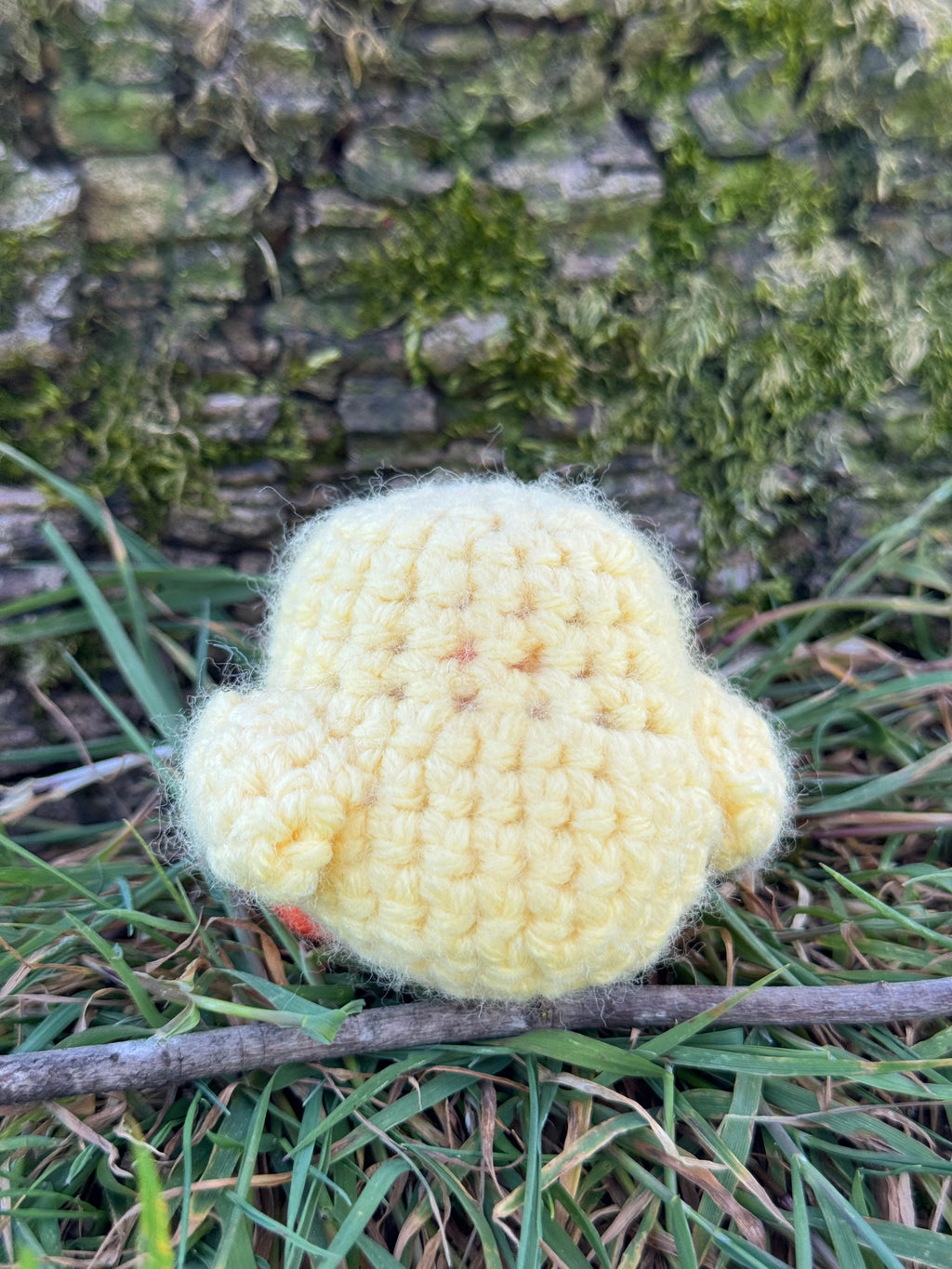 Mini Chick Friend