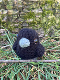 Mini Crow Friend