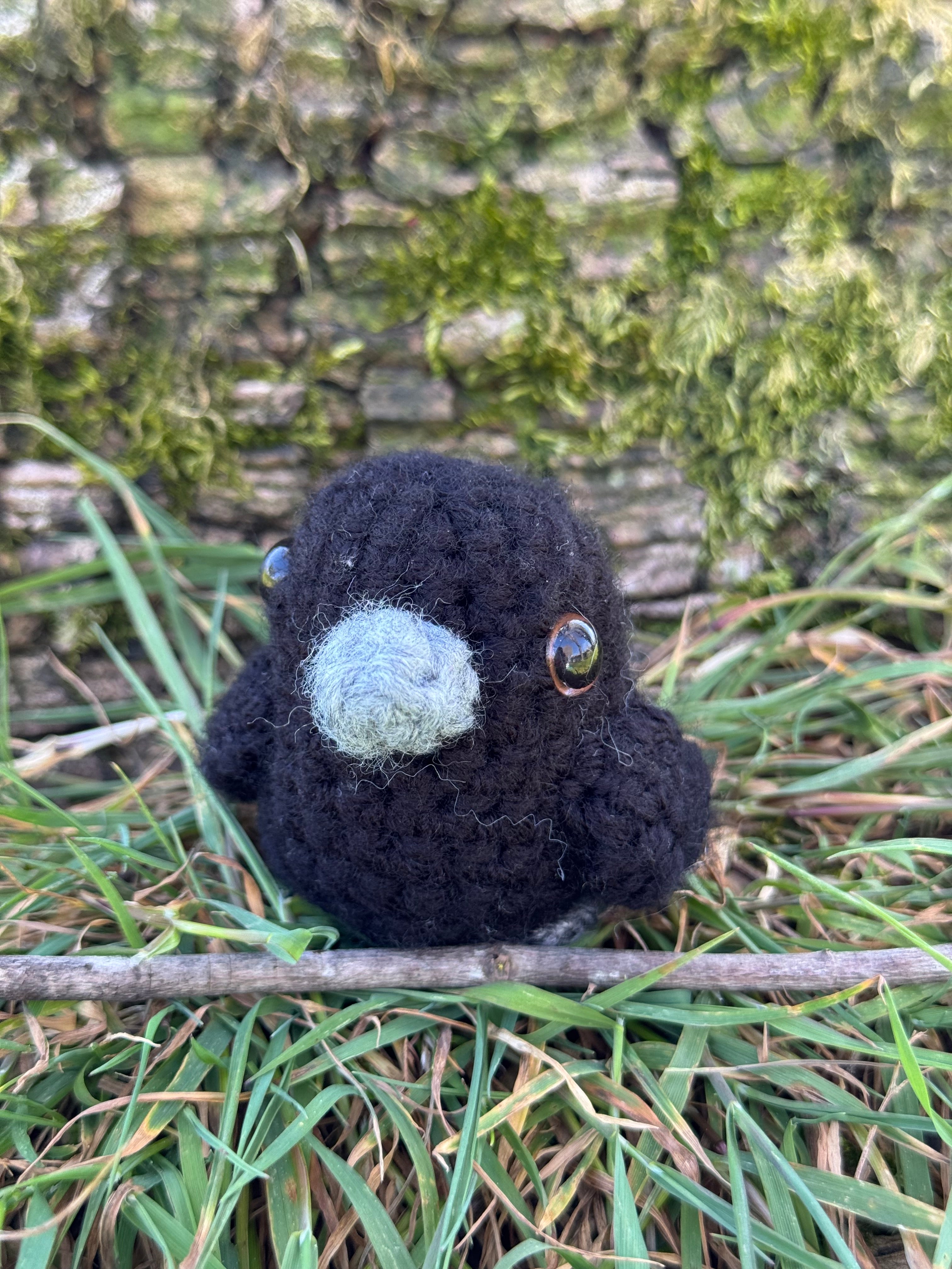 Mini Crow Friend