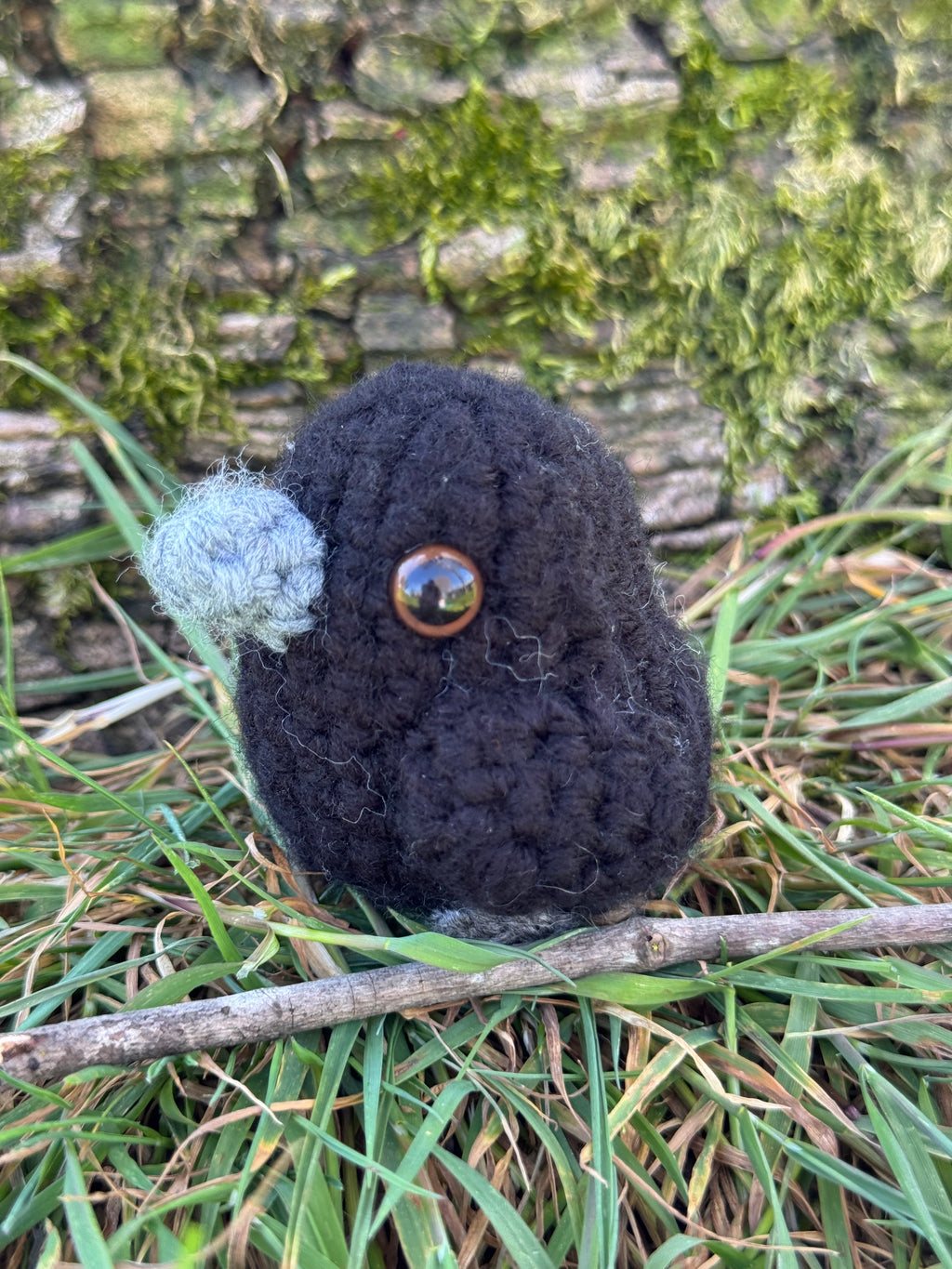 Mini Crow Friend