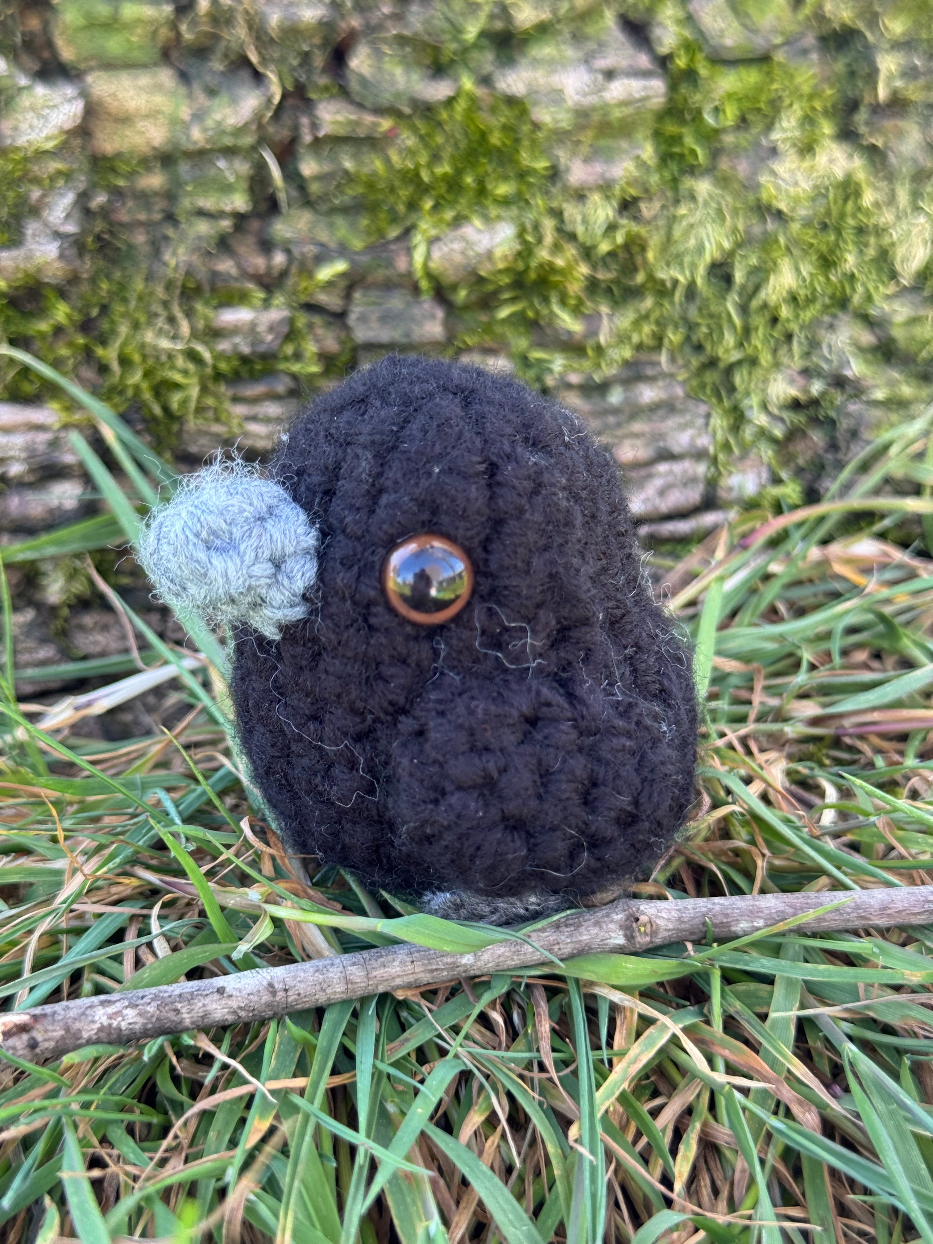 Mini Crow Friend