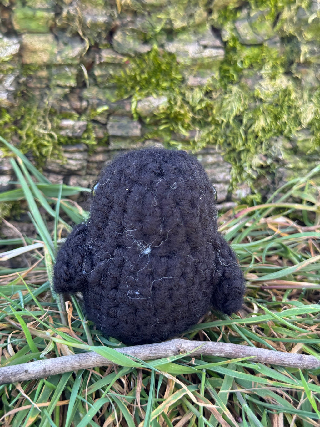 Mini Crow Friend