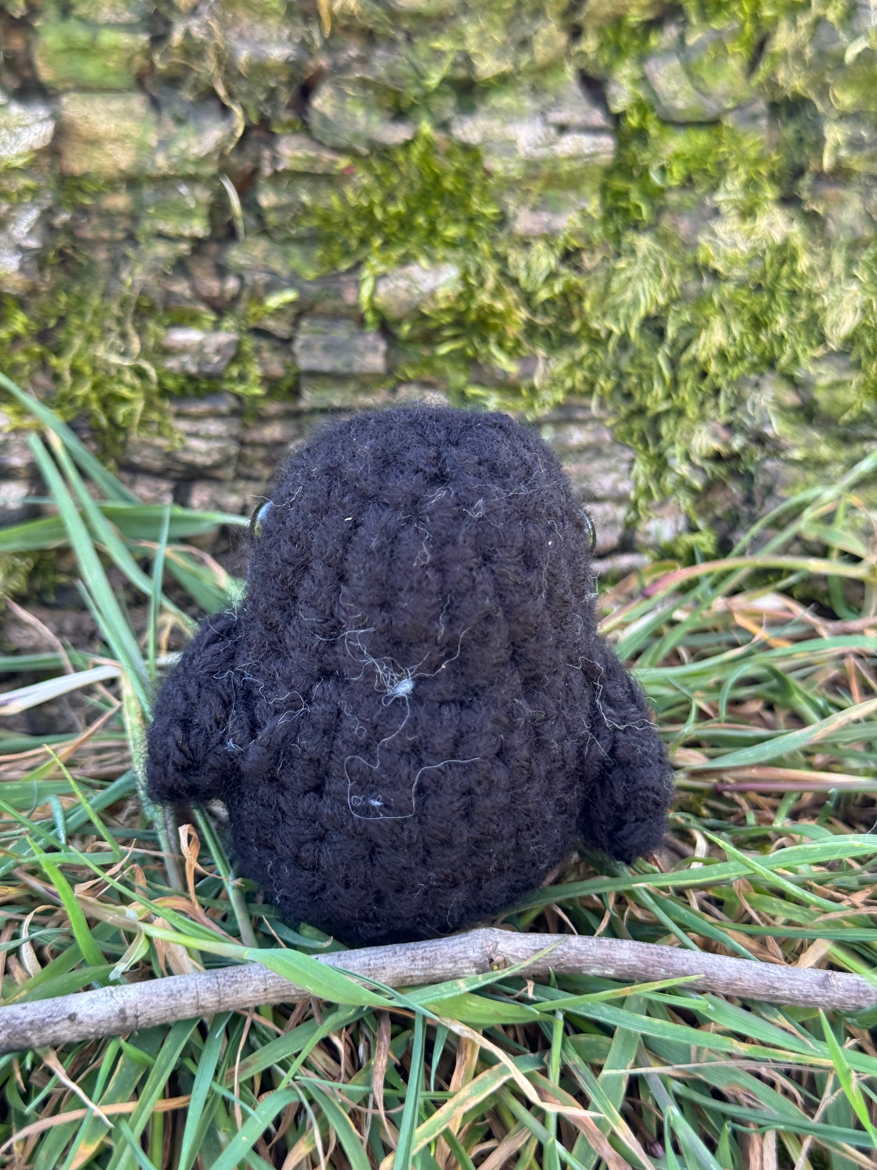 Mini Crow Friend