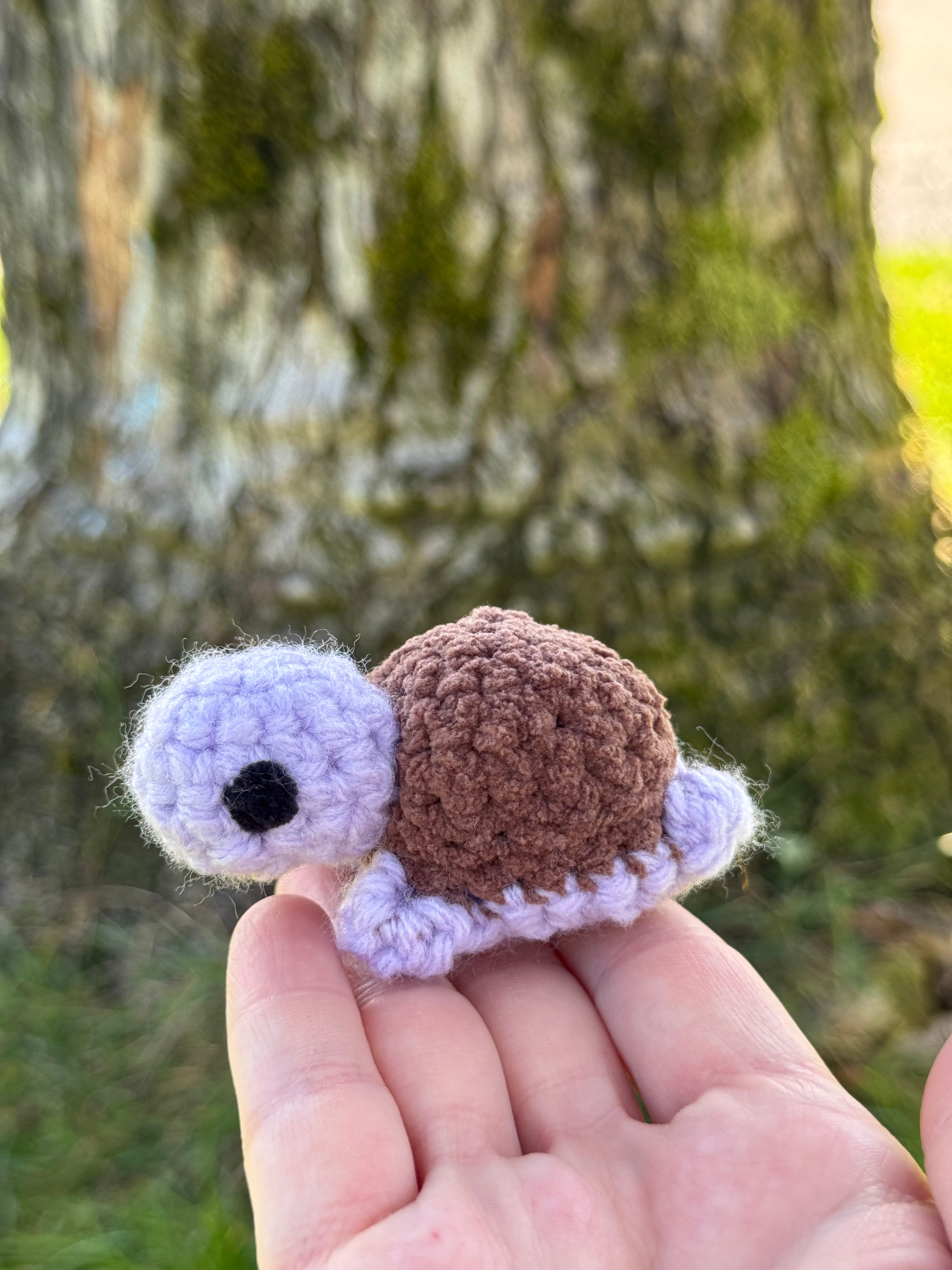 Mini Turtle Friend