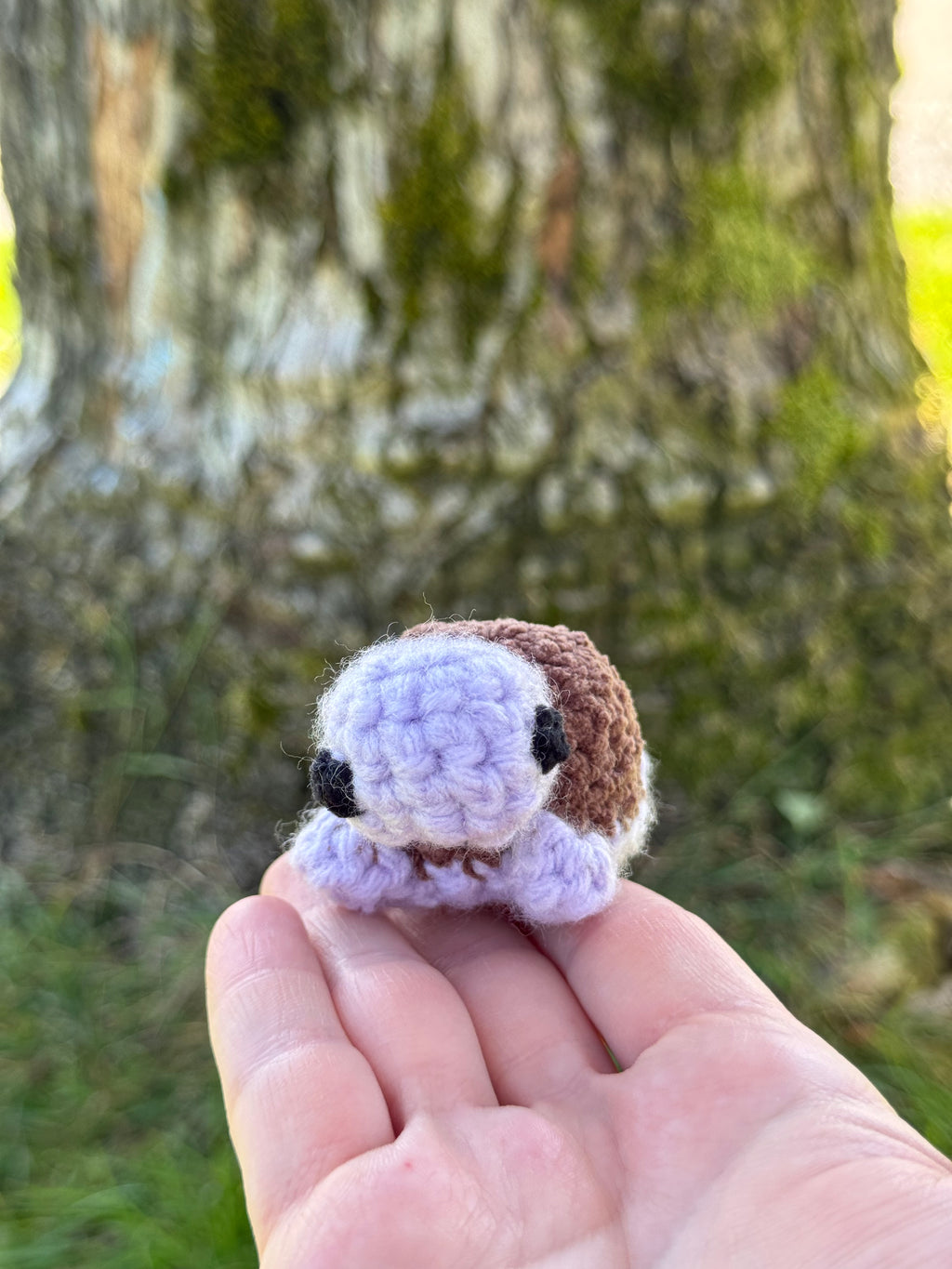 Mini Turtle Friend